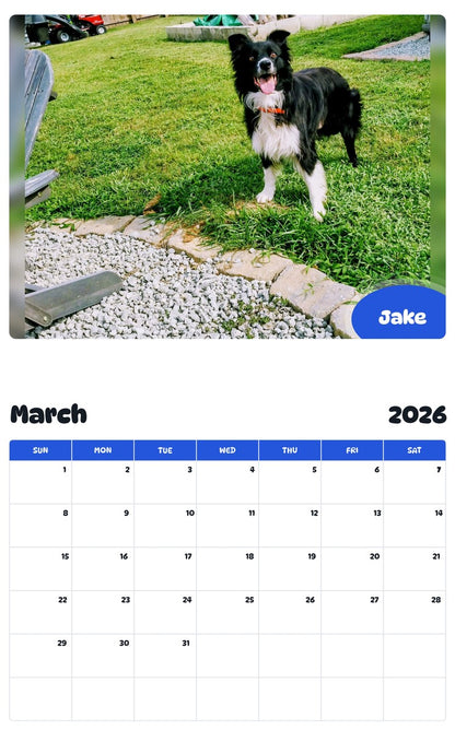 November 2025 - October 2026 Jake - Pawidols Pet Calendar