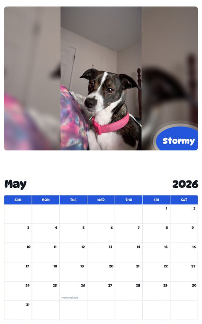 2026 - 2027 Stormy - Pawidols Pet Calendar