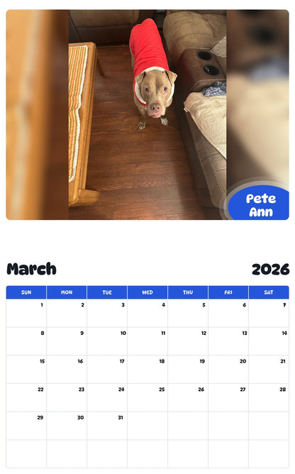 November 2025 - October 2026 Pete Ann - Pawidols Pet Calendar