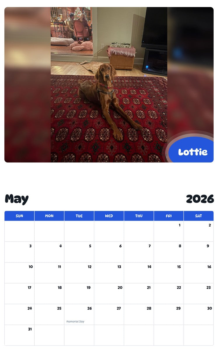 2026 - 2027 Lottie - Pawidols Pet Calendar
