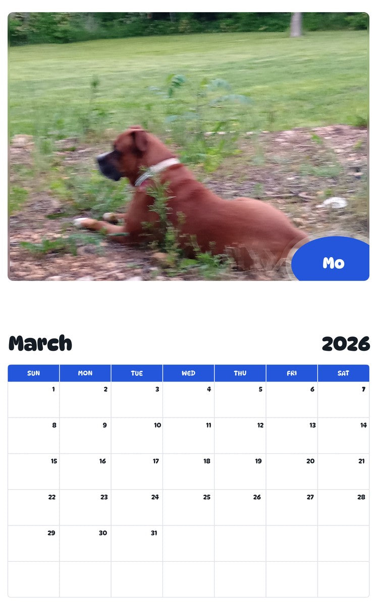 November 2025 - October 2026 Mo - Pawidols Pet Calendar