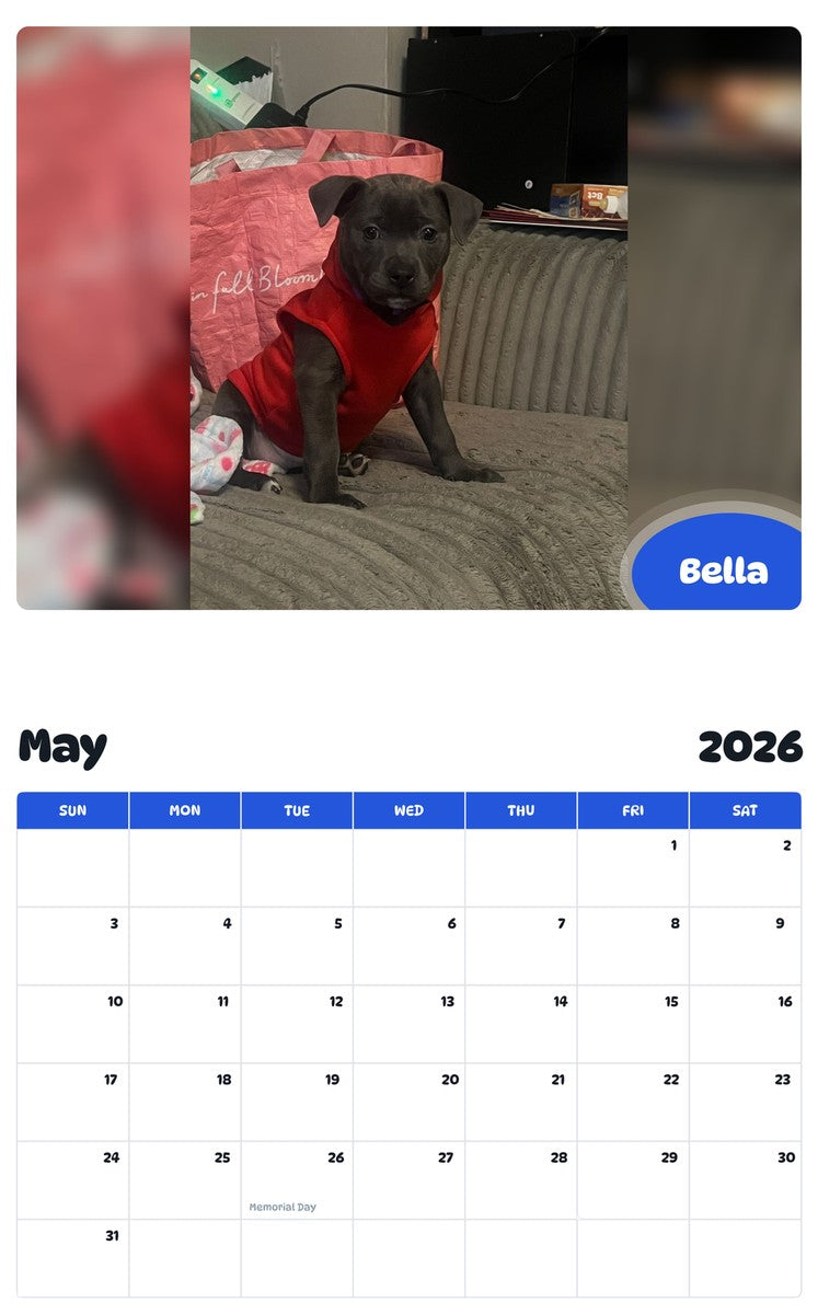 2026 - 2027 Bella - Pawidols Pet Calendar