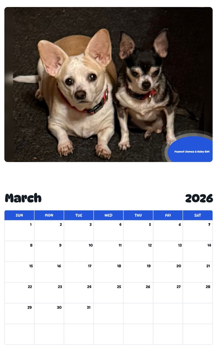 November 2025 - October 2026 Peanut James & Baby Girl - Pawidols Pet Calendar