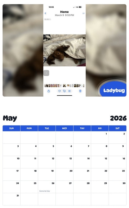 2026 - 2027 Ladybug - Pawidols Pet Calendar