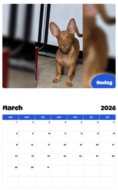 November 2025 - October 2026 Hodag - Pawidols Pet Calendar