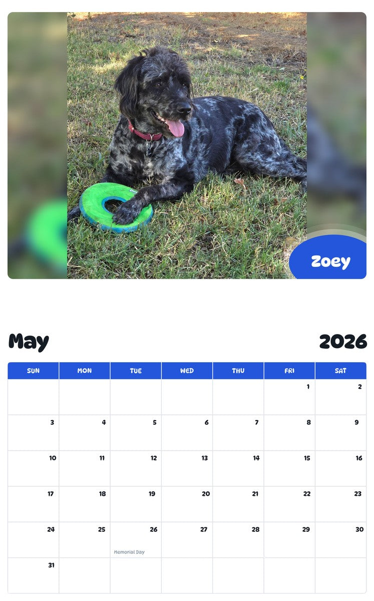 2026 - 2027 Zoey - Pawidols Pet Calendar