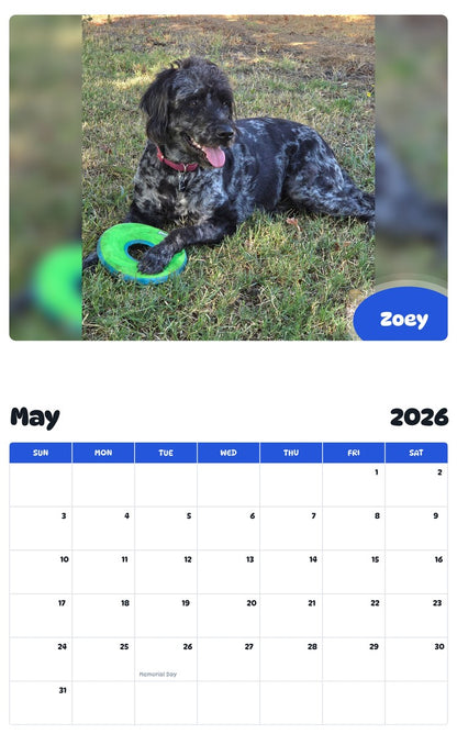 2026 - 2027 Zoey - Pawidols Pet Calendar