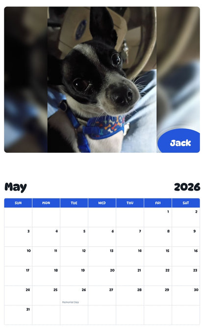 2026 - 2027 Jack - Pawidols Pet Calendar