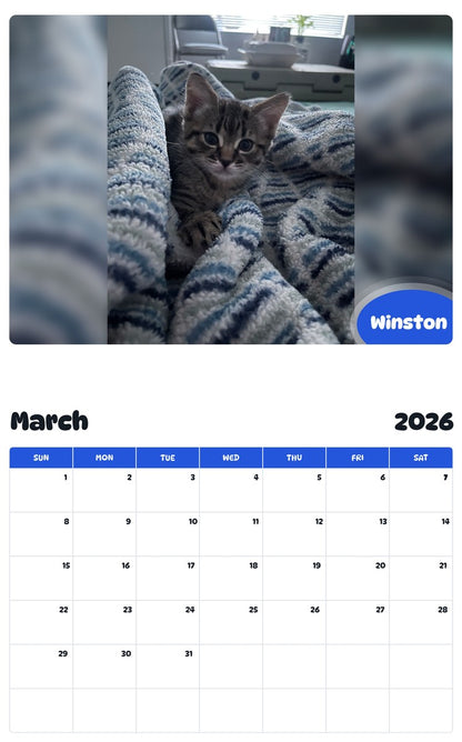 November 2025 - October 2026 Winston - Pawidols Pet Calendar