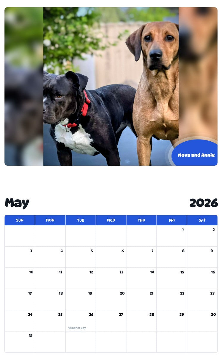 2026 - 2027 Nova and Annie - Pawidols Pet Calendar