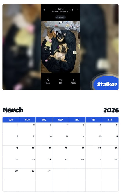 November 2025 - October 2026 Stalker - Pawidols Pet Calendar