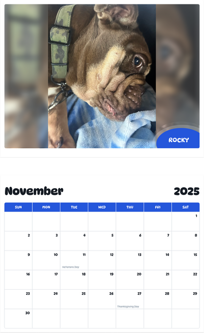 July 2025 - June 2026 Rocky - Pawidols Pet Calendar