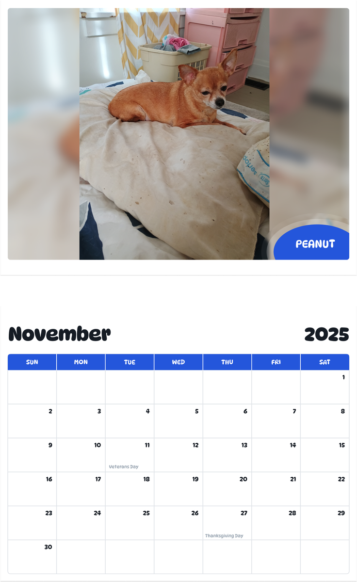 July 2025 - June 2026 Peanut - Pawidols Pet Calendar