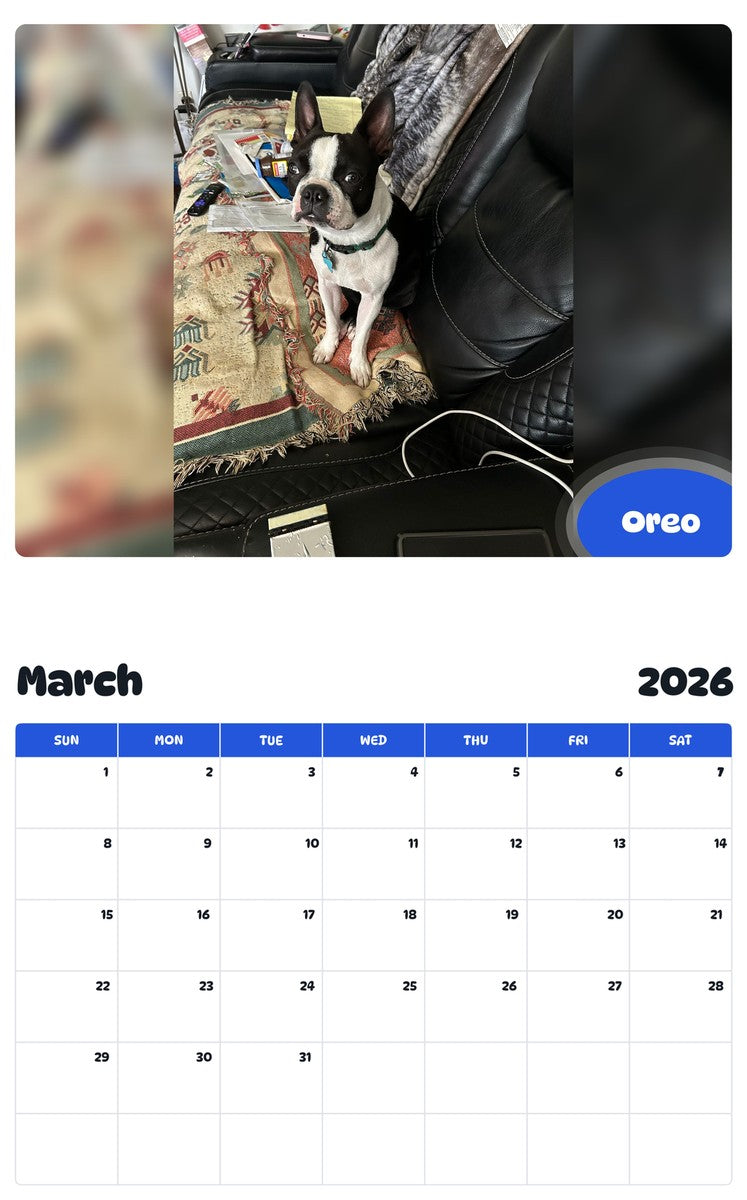 November 2025 - October 2026 Oreo - Pawidols Pet Calendar