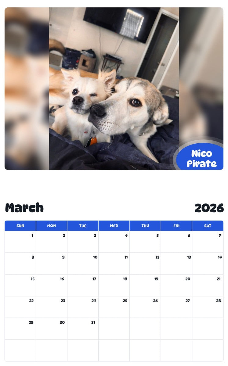 November 2025 - October 2026 Nico Pirate - Pawidols Pet Calendar