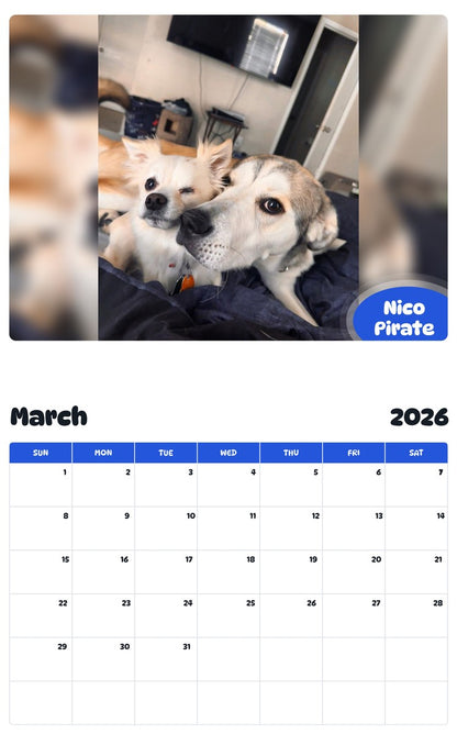 November 2025 - October 2026 Nico Pirate - Pawidols Pet Calendar