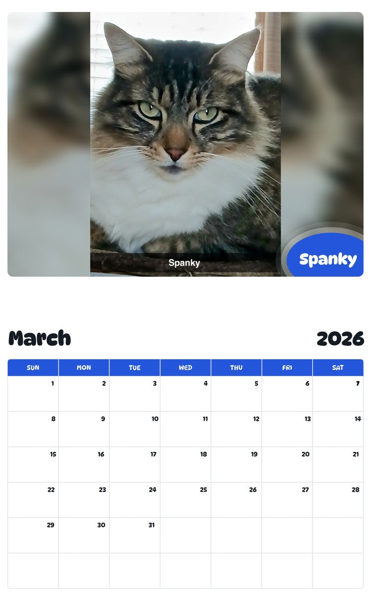 November 2025 - October 2026 Spanky - Pawidols Pet Calendar