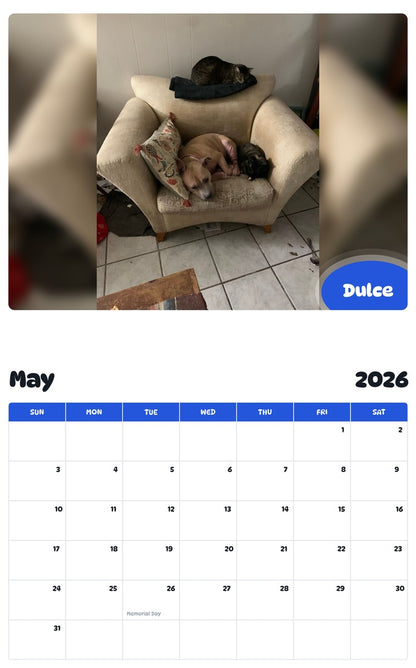 2026 - 2027 Dulce - Pawidols Pet Calendar