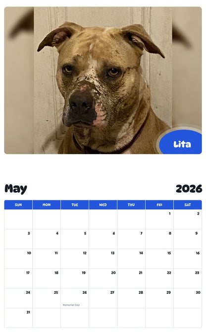 2026 - 2027 Lita - Pawidols Pet Calendar