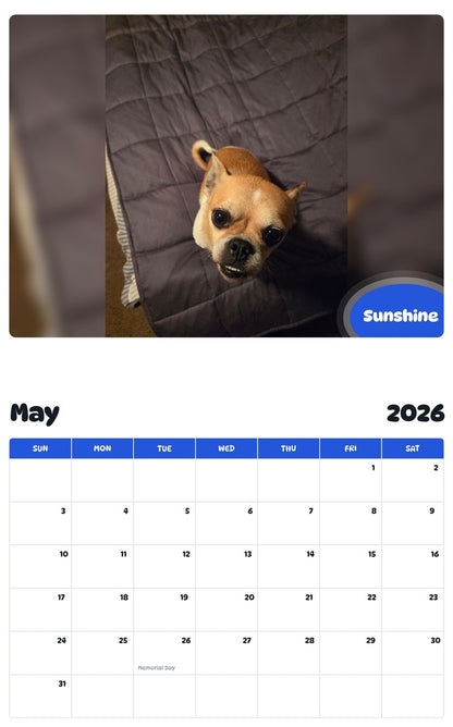 2026 - 2027 Sunshine - Pawidols Pet Calendar