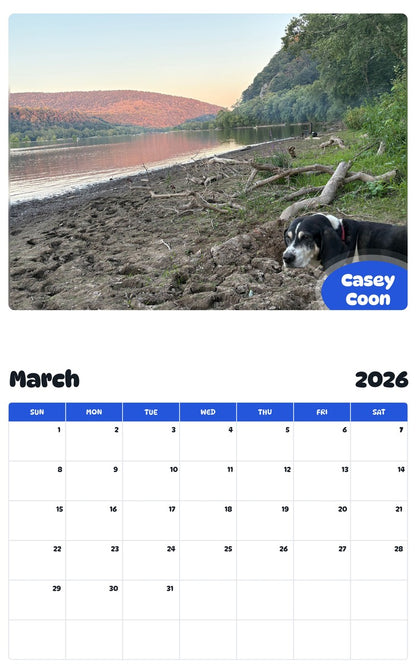 November 2025 - October 2026 Casey Coon - Pawidols Pet Calendar
