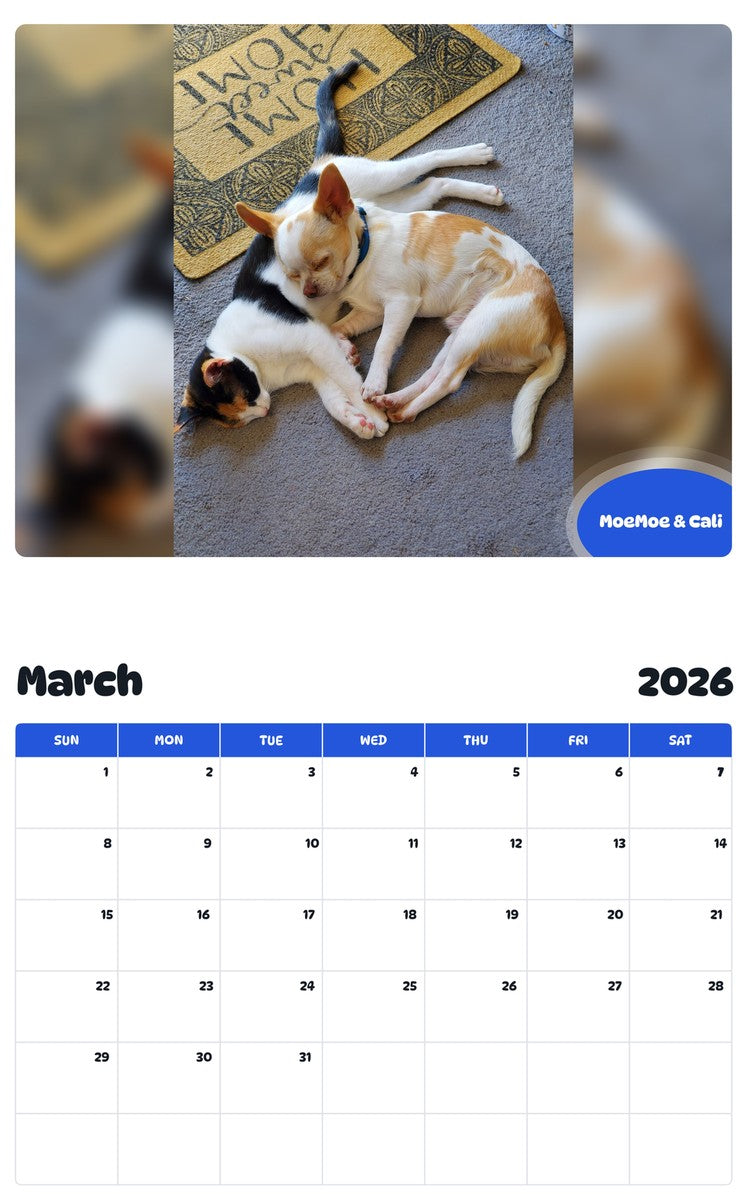November 2025 - October 2026 MoeMoe & Cali - Pawidols Pet Calendar