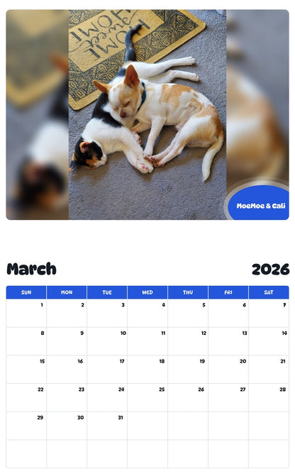 November 2025 - October 2026 MoeMoe & Cali - Pawidols Pet Calendar