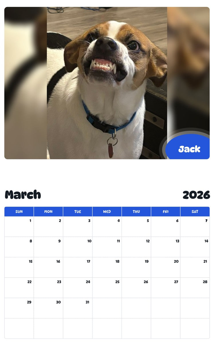 November 2025 - October 2026 Jack - Pawidols Pet Calendar