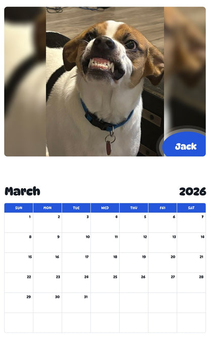 November 2025 - October 2026 Jack - Pawidols Pet Calendar