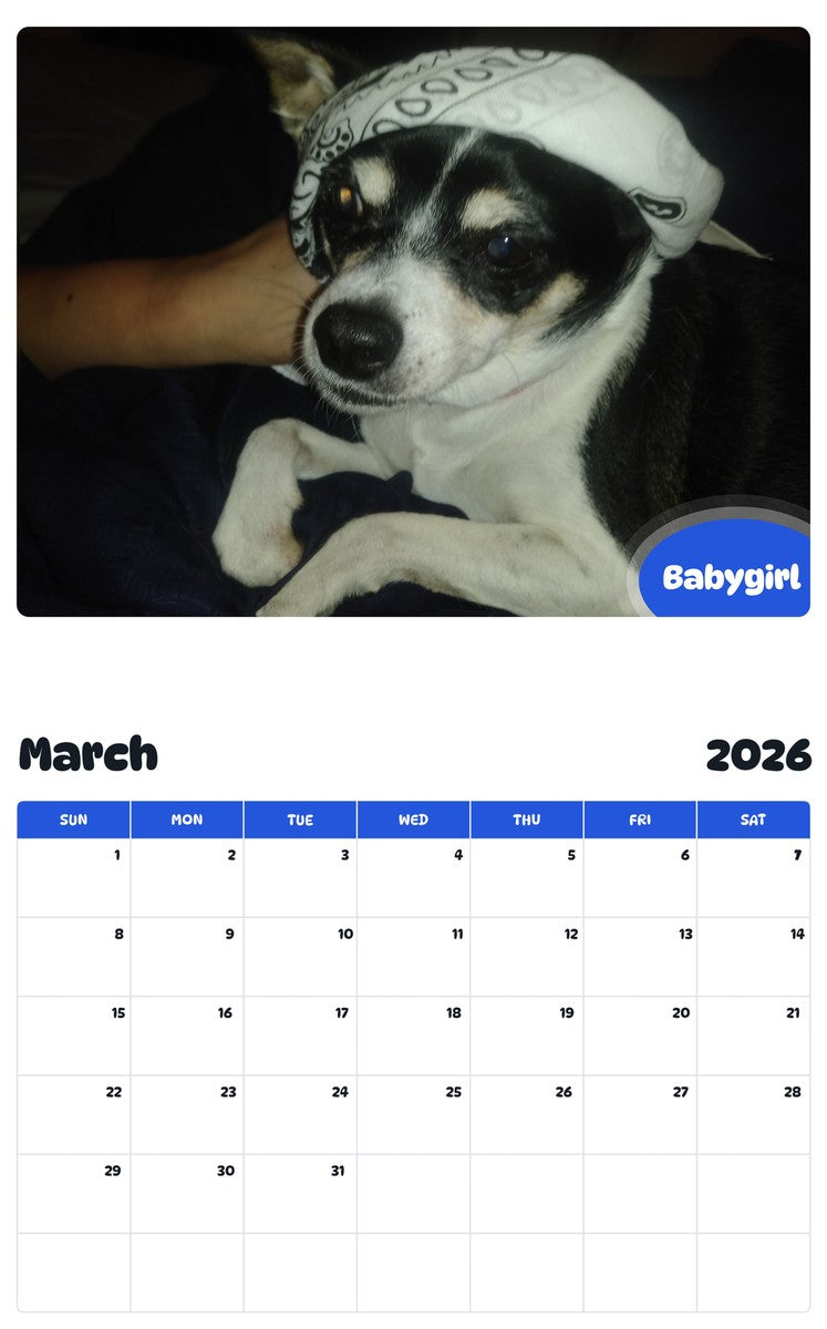 November 2025 - October 2026 Babygirl - Pawidols Pet Calendar