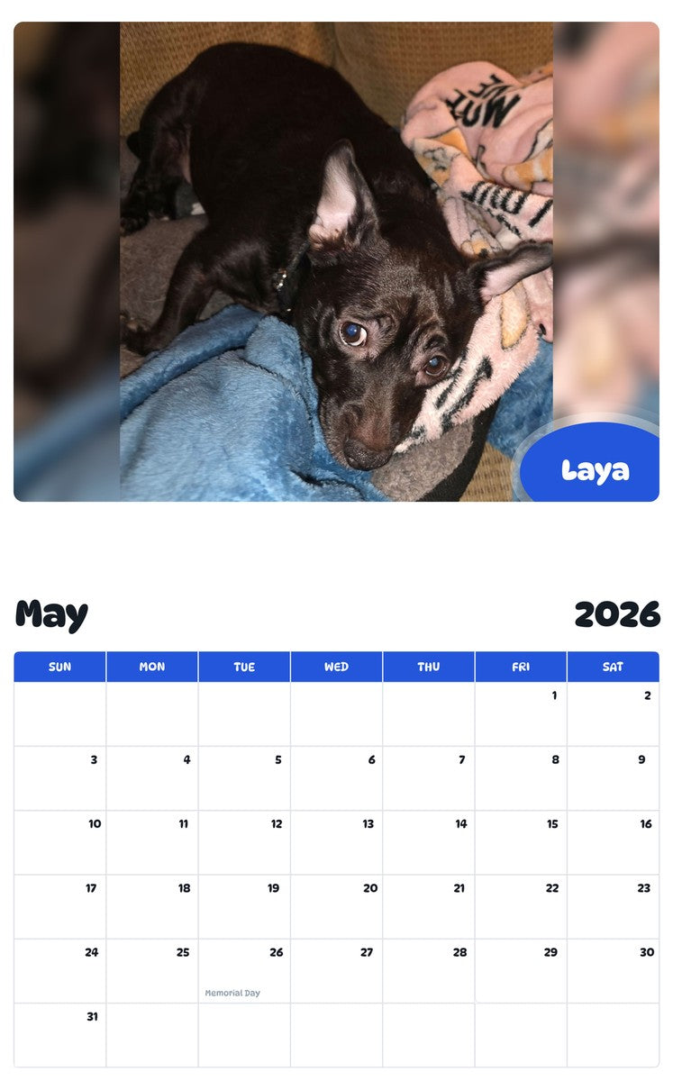 2026 - 2027 Laya - Pawidols Pet Calendar