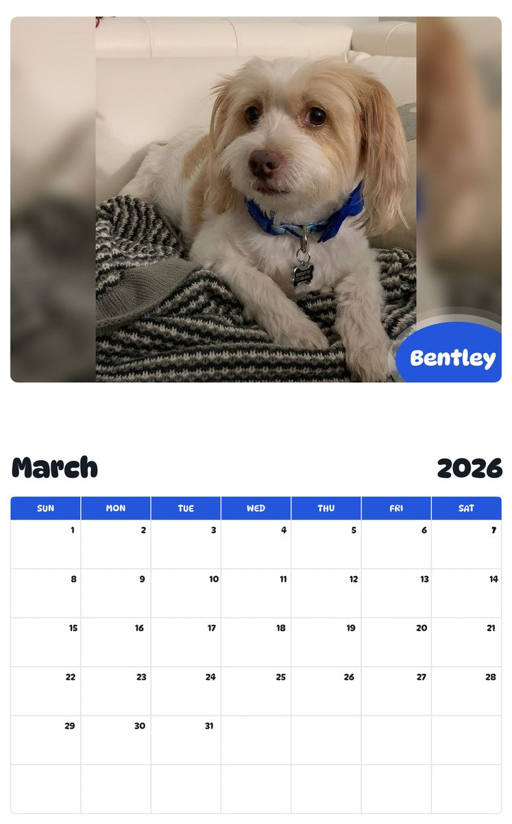 November 2025 - October 2026 Bentley - Pawidols Pet Calendar