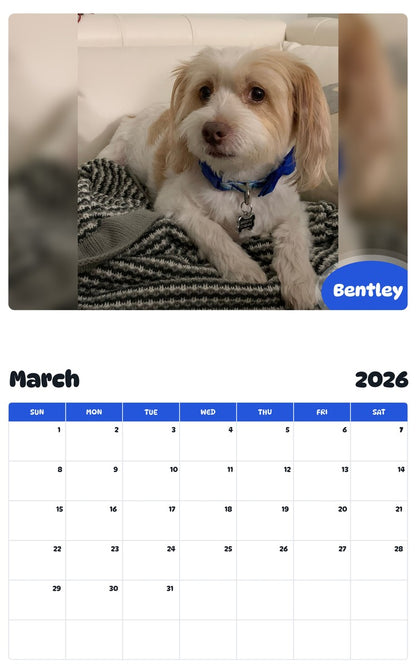 November 2025 - October 2026 Bentley - Pawidols Pet Calendar