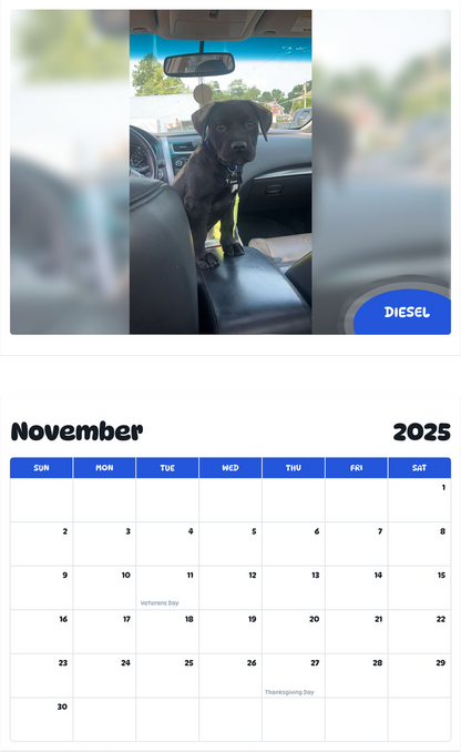 July 2025 - June 2026 Diesel - Pawidols Pet Calendar