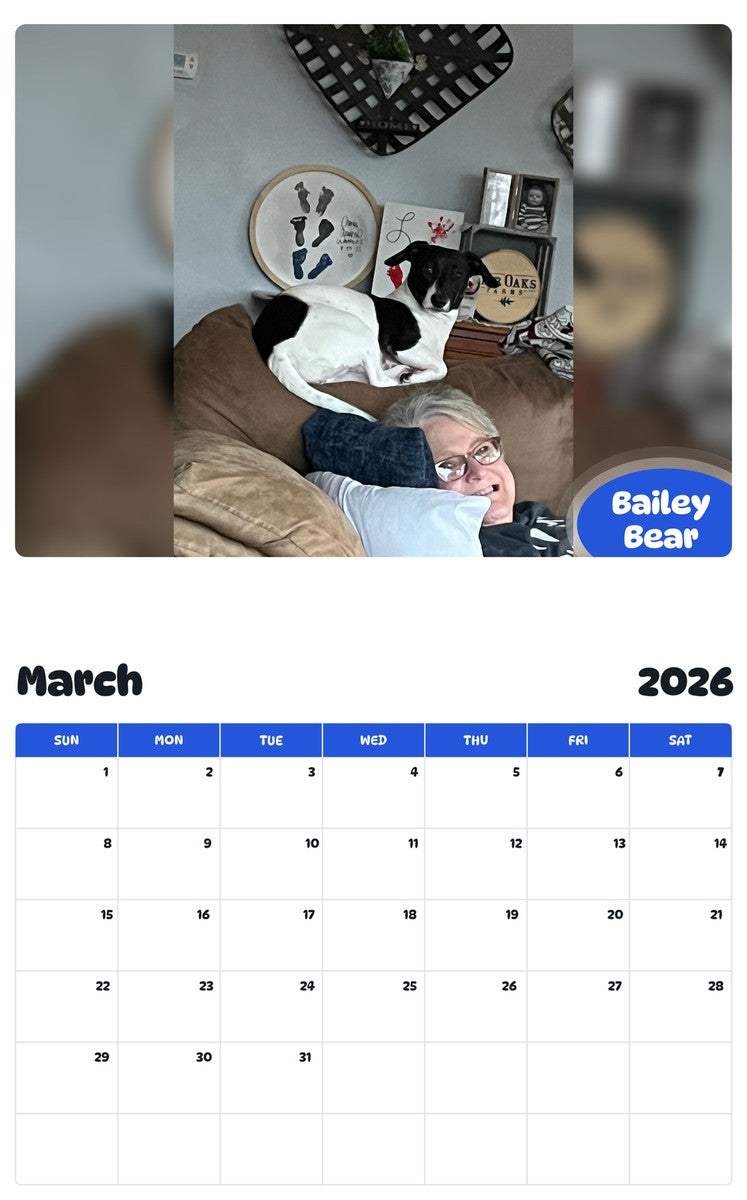 November 2025 - October 2026 Bailey Bear - Pawidols Pet Calendar