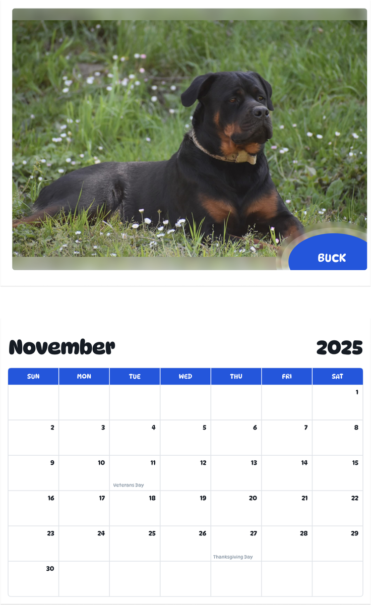 July 2025 - June 2026 Buck - Pawidols Pet Calendar