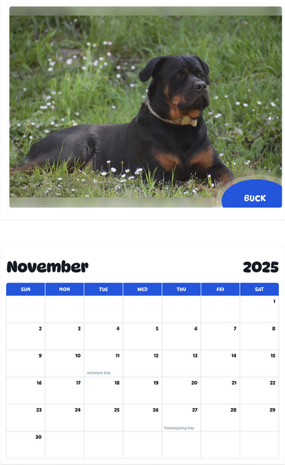 July 2025 - June 2026 Buck - Pawidols Pet Calendar