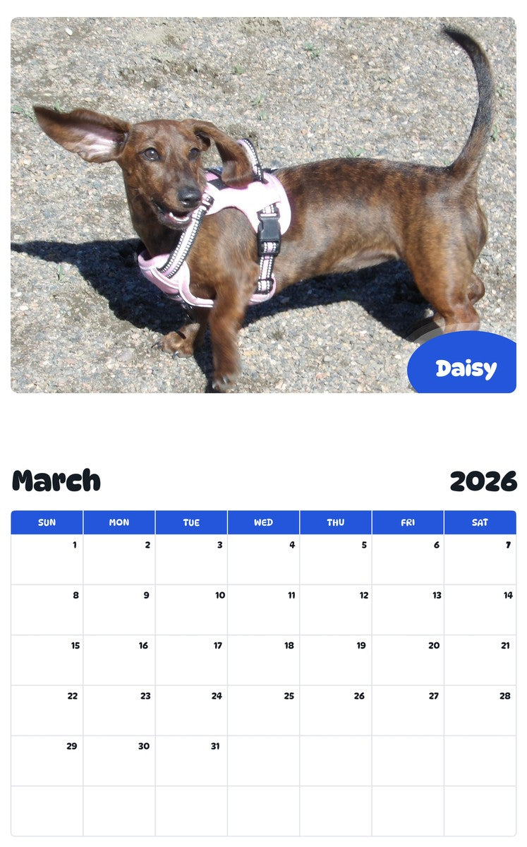 November 2025 - October 2026 Daisy - Pawidols Pet Calendar