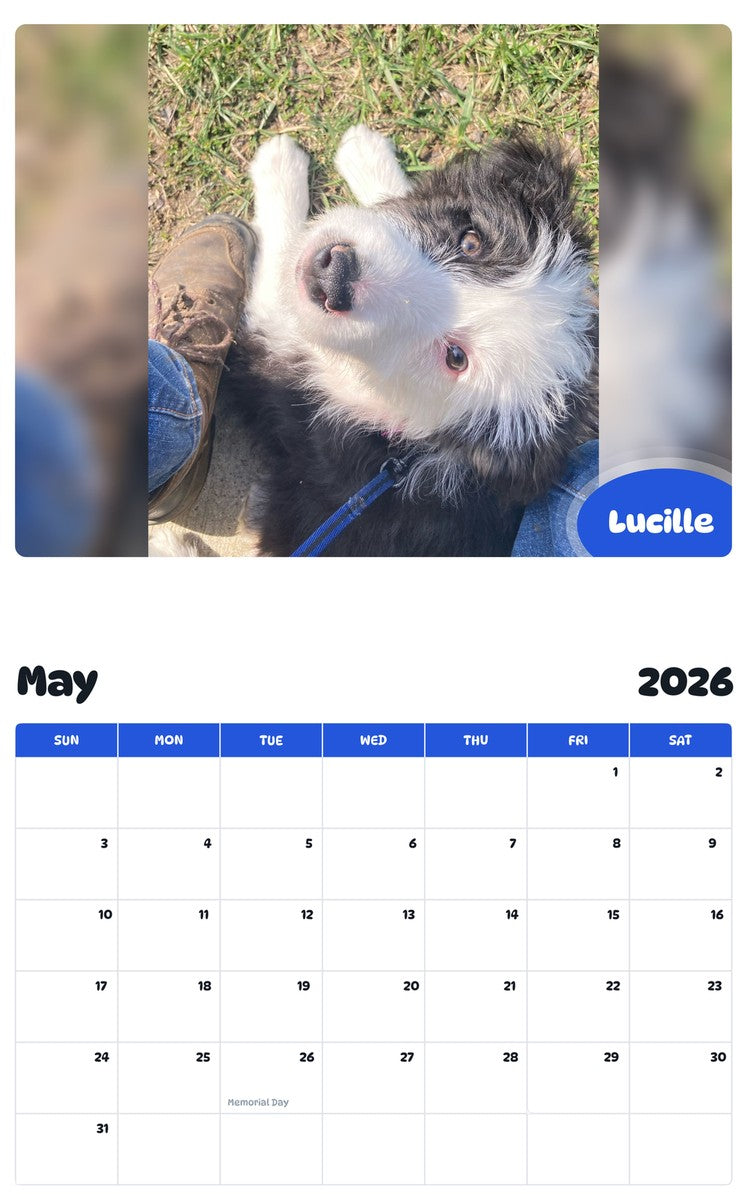2026 - 2027 Lucille - Pawidols Pet Calendar