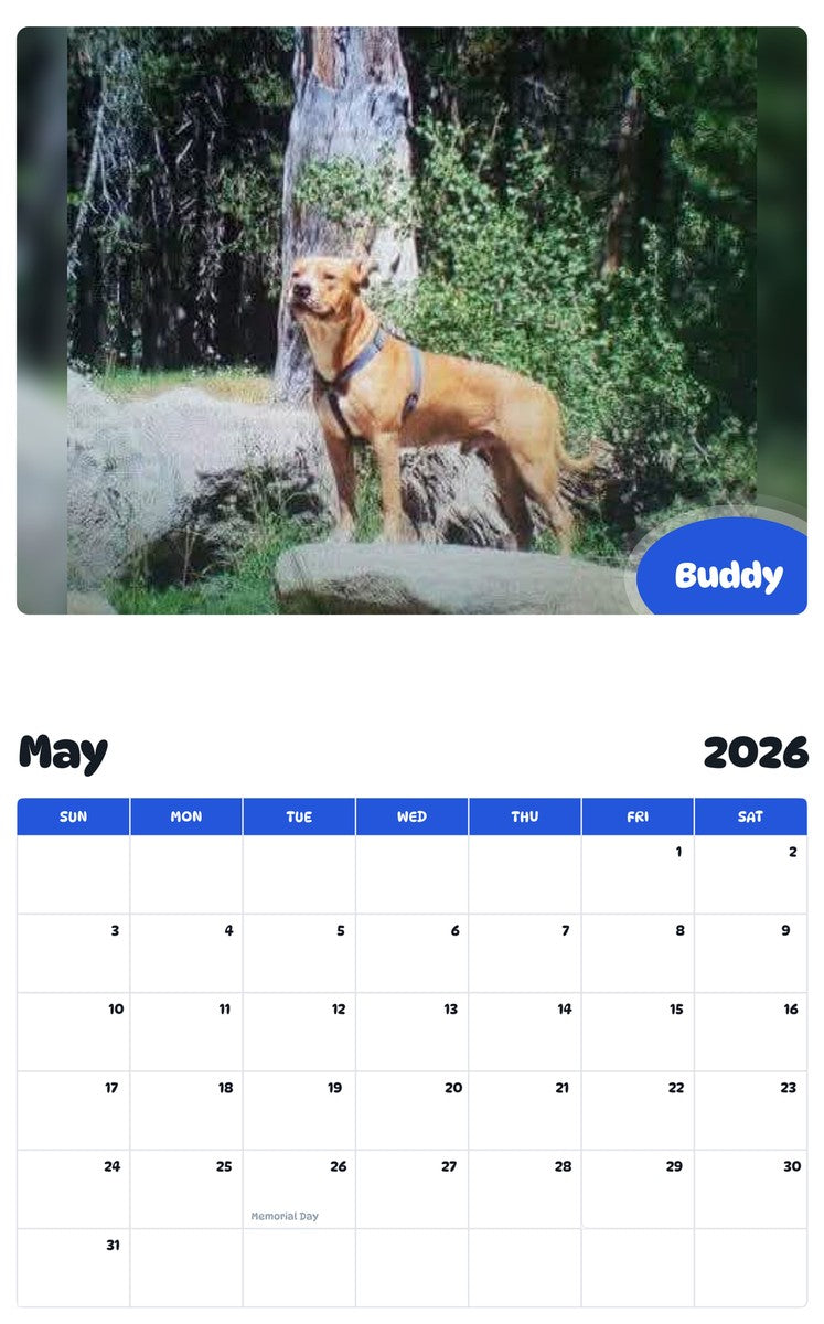 2026 - 2027 Buddy - Pawidols Pet Calendar
