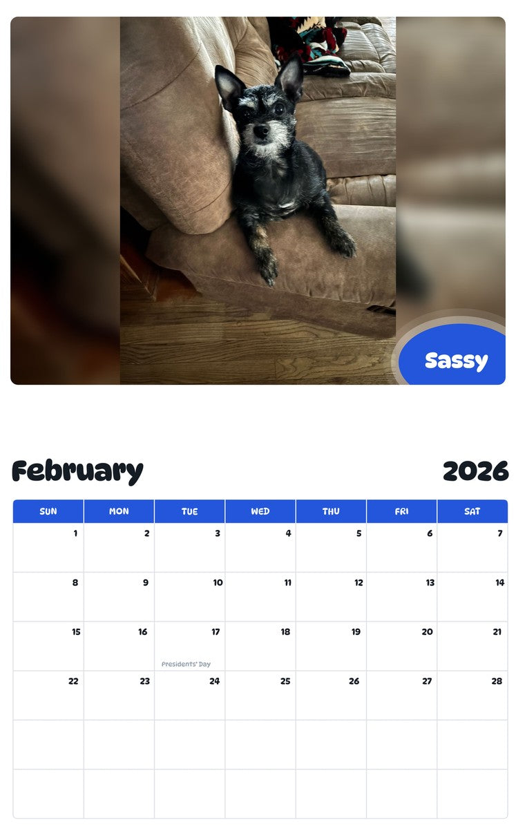 October 2025 - September 2026 Sassy - Pawidols Pet Calendar