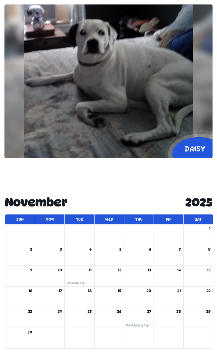 July 2025 - June 2026 Daisy - Pawidols Pet Calendar