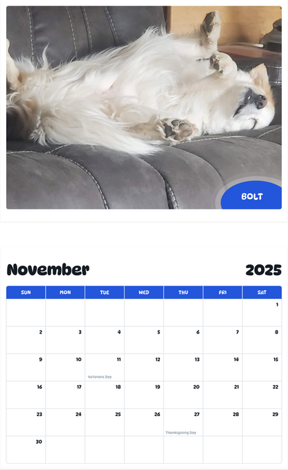 July 2025 - June 2026 Bolt - Pawidols Pet Calendar