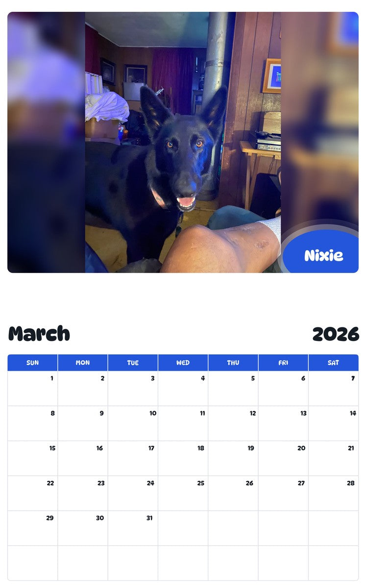 November 2025 - October 2026 Nixie - Pawidols Pet Calendar