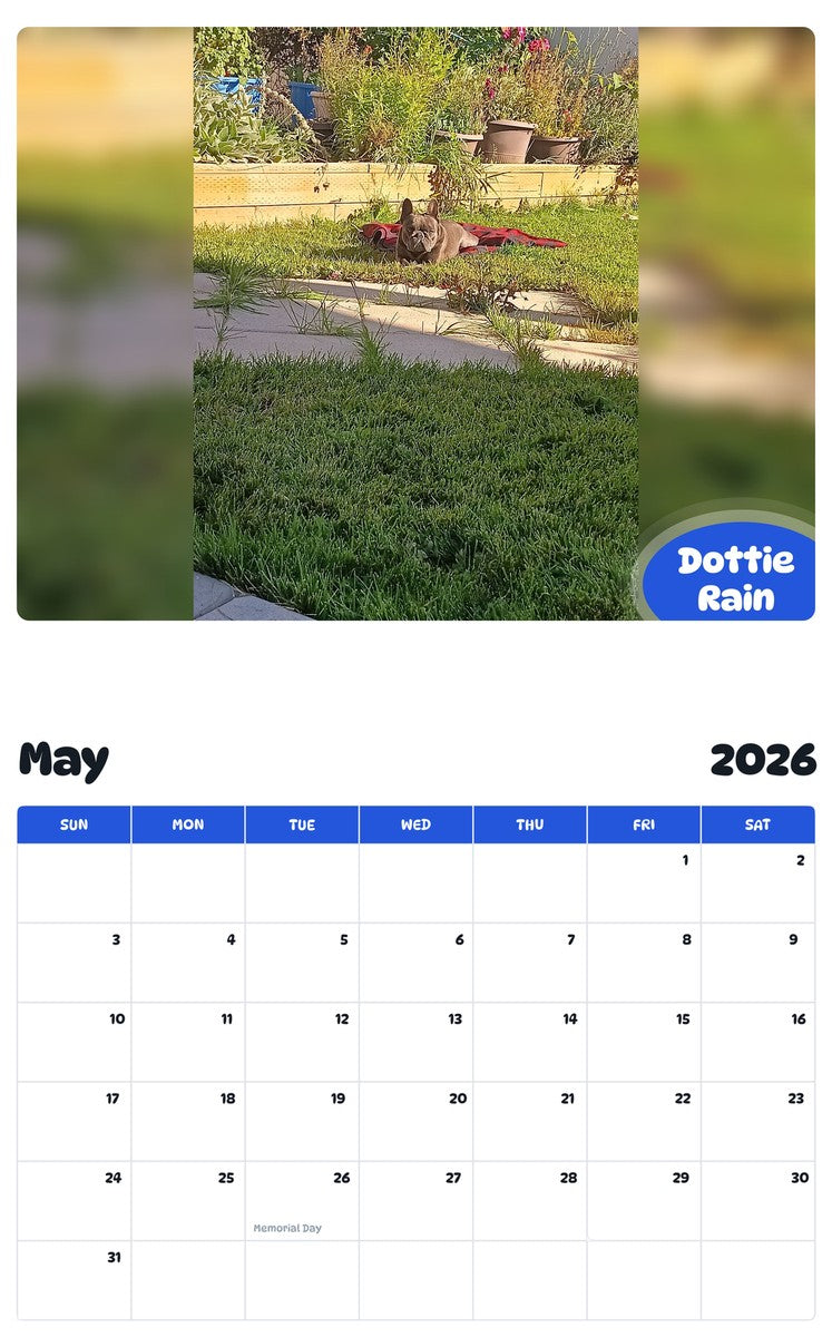 2026 - 2027 Dottie Rain - Pawidols Pet Calendar