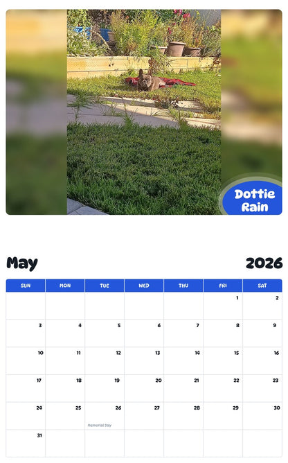 2026 - 2027 Dottie Rain - Pawidols Pet Calendar