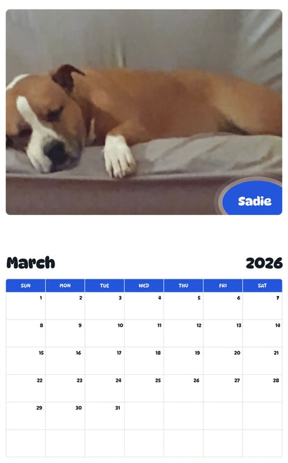 November 2025 - October 2026 Sadie - Pawidols Pet Calendar