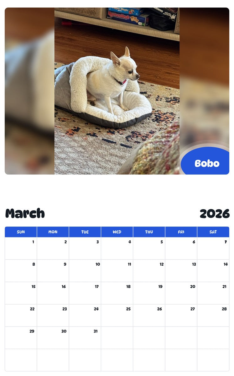 November 2025 - October 2026 Bobo - Pawidols Pet Calendar