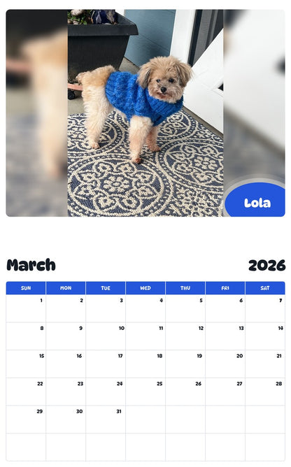 November 2025 - October 2026 Lola - Pawidols Pet Calendar