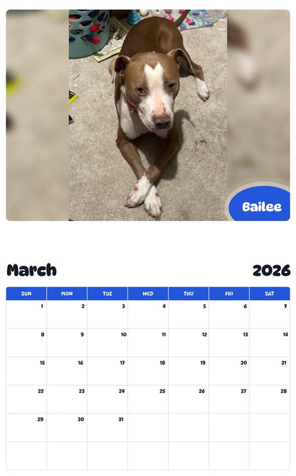 November 2025 - October 2026 Bailee - Pawidols Pet Calendar